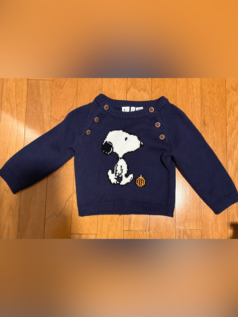 Janie and Jack Navy Snoopy Knit Sweater with Pumpkin Accent